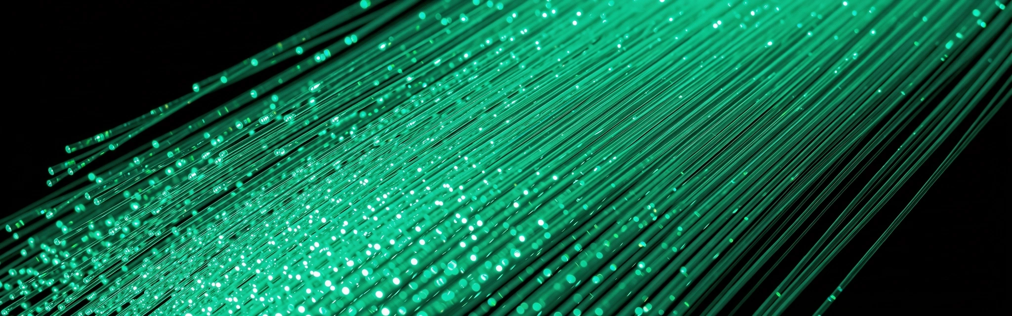 High-speed network interconnects